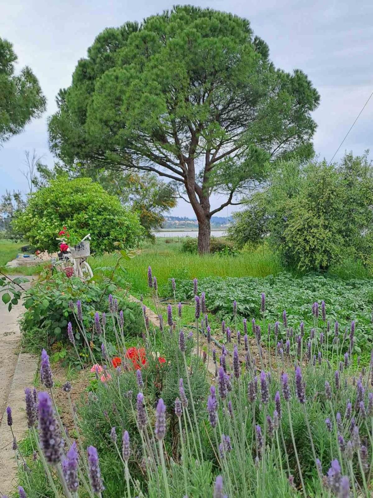 Maison Du Lac กาโนนี ภายนอก รูปภาพ